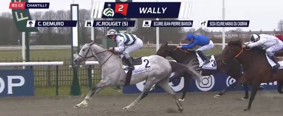 20230304-chantilly-wally.jpg