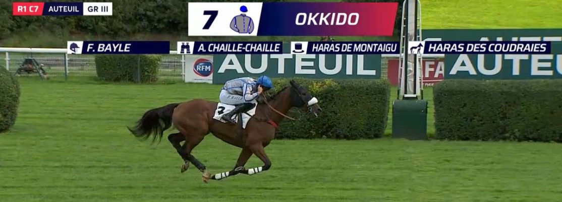 20230923-auteuil-the-fellow-okkido.jpg