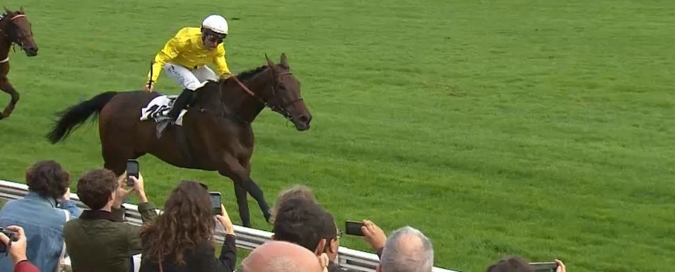 20231014-auteuil-prince-d-ecouen-chichi-de-la-vega.jpg
