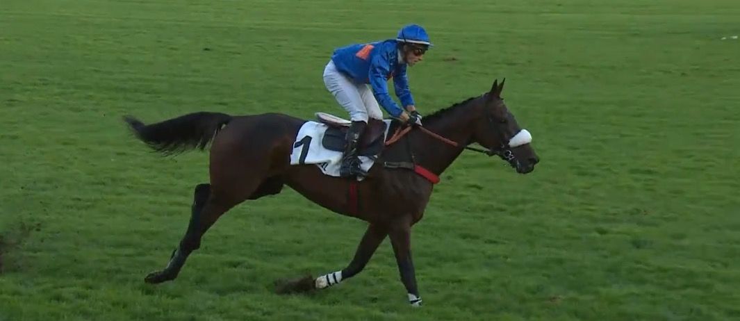 20231014-auteuil-prix-carmarthen-theleme.jpg