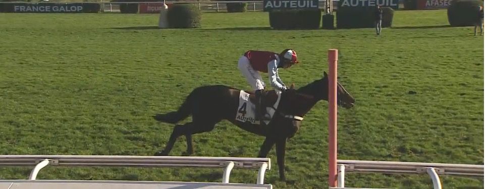 20231202-auteuil-guarana.jpg