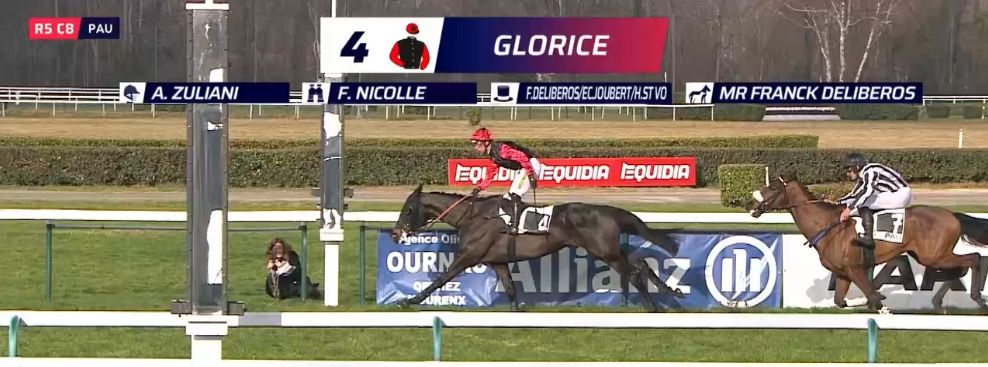 20240204-grande-courses-de-haies-pau-glorice.jpg