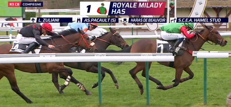 20240313-compiegne-spumate-royale-milady-has.jpg