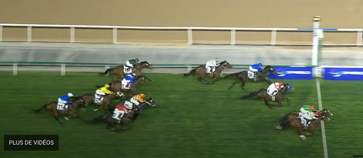 20240330-dubai-turf-facteur-cheval-000.jpg