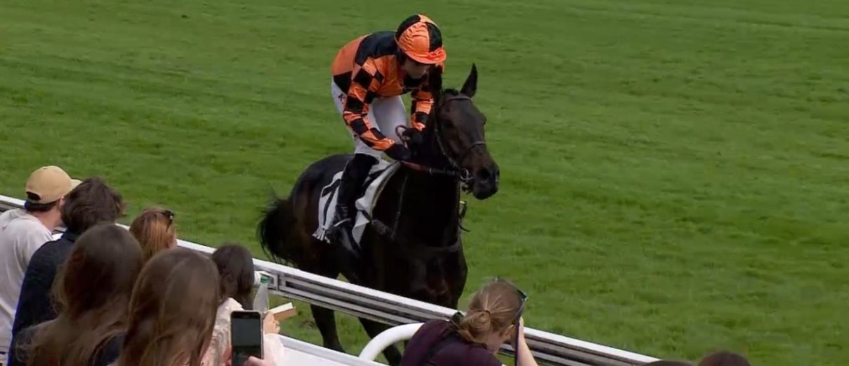 20240406-auteuil-pepinvast-kingland.jpg
