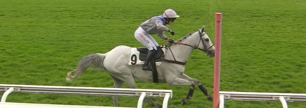 20240411-auteuil-rose-or-no-six-one.jpg