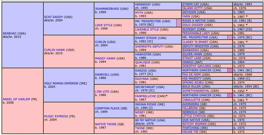 angers-2020-pedigree.jpg