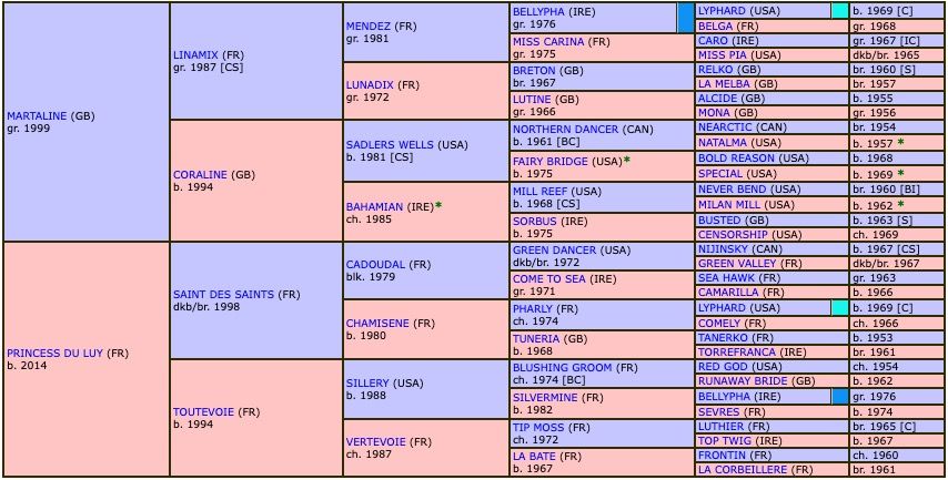 athena-du-luy-2019-pedigree.jpg