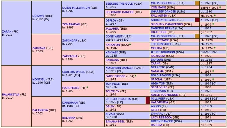 baiykara-2019-pedigree.jpg