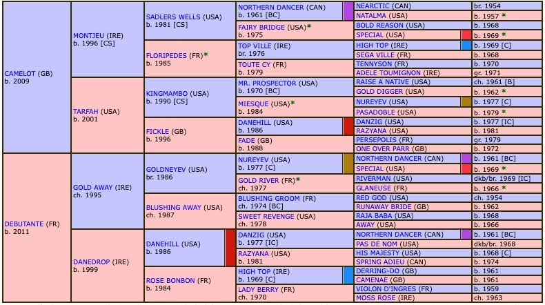 dare-to-dream-2021-pedigree.jpg