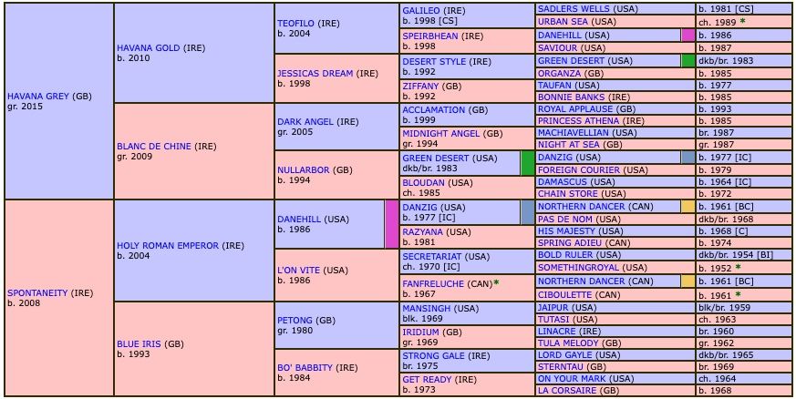 eddies-boy-2020-pedigree.jpg