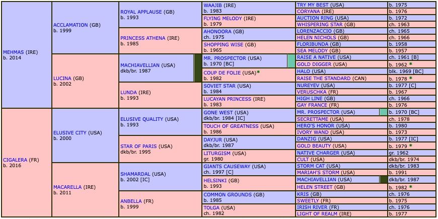 estepona-2022-pedigree.jpg