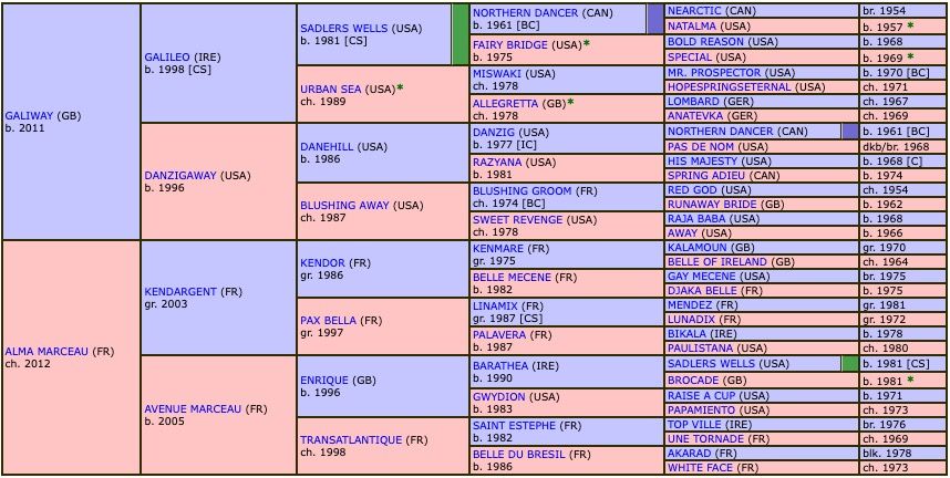 gala-marceau-2019-pedigree.jpg