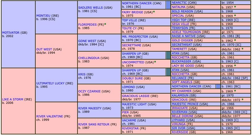 game-of-storm-2020-pedigree.jpg