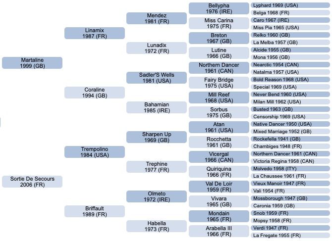 general-en-chef-2016-pedigree.jpg