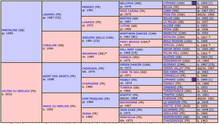 hawai-du-berlais-2018-pedigree.jpg