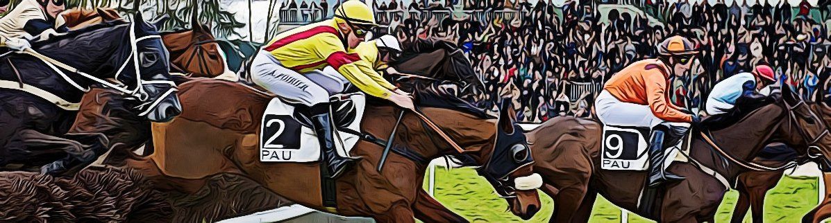 hippodrome-pau-2018-01.jpg