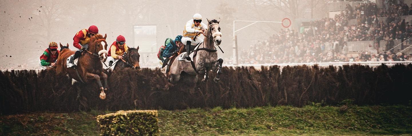 hippodrome-pau-2024-01-1440.jpg
