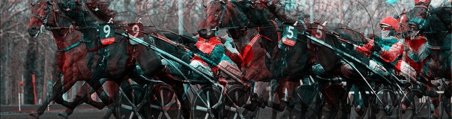 hippodrome-vincennes-trot-attele-01-900_2021-05-10-2.jpg