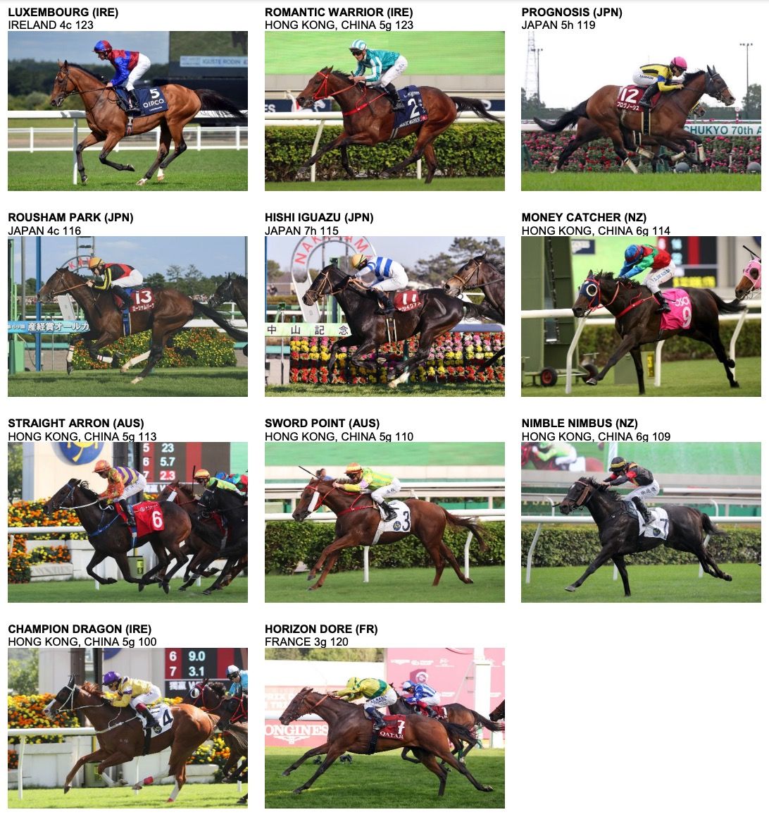 hong-kong-cup-2023-partants.jpg