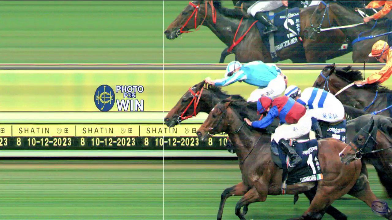 hong-kong-cup-2023-romantic-warrior.jpeg