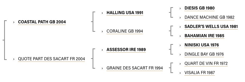 indivis-2018-pedigree.jpg