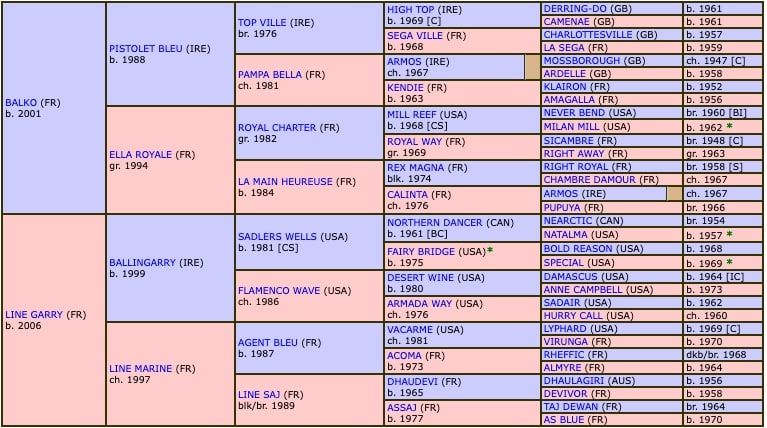 ine-anjou-2018-pedigree.jpg