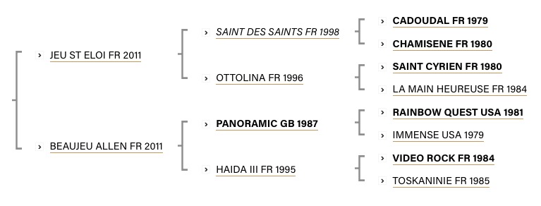 interdit-de-jeu-2018-pedigree.jpg