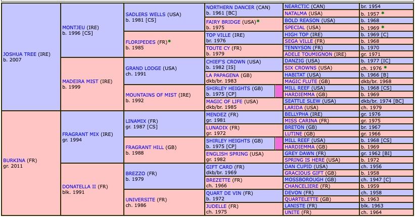 irish-point-2018-pedigree.jpg