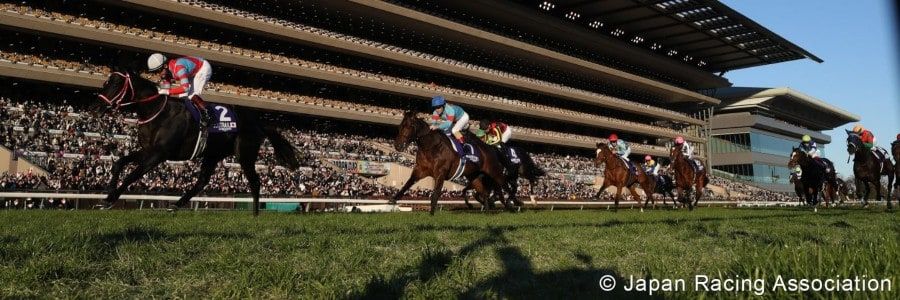 japan-racing-association-900.jpeg