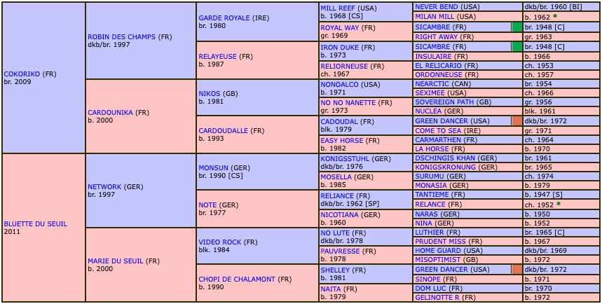 jeune-coko-2019-pedigree.jpg