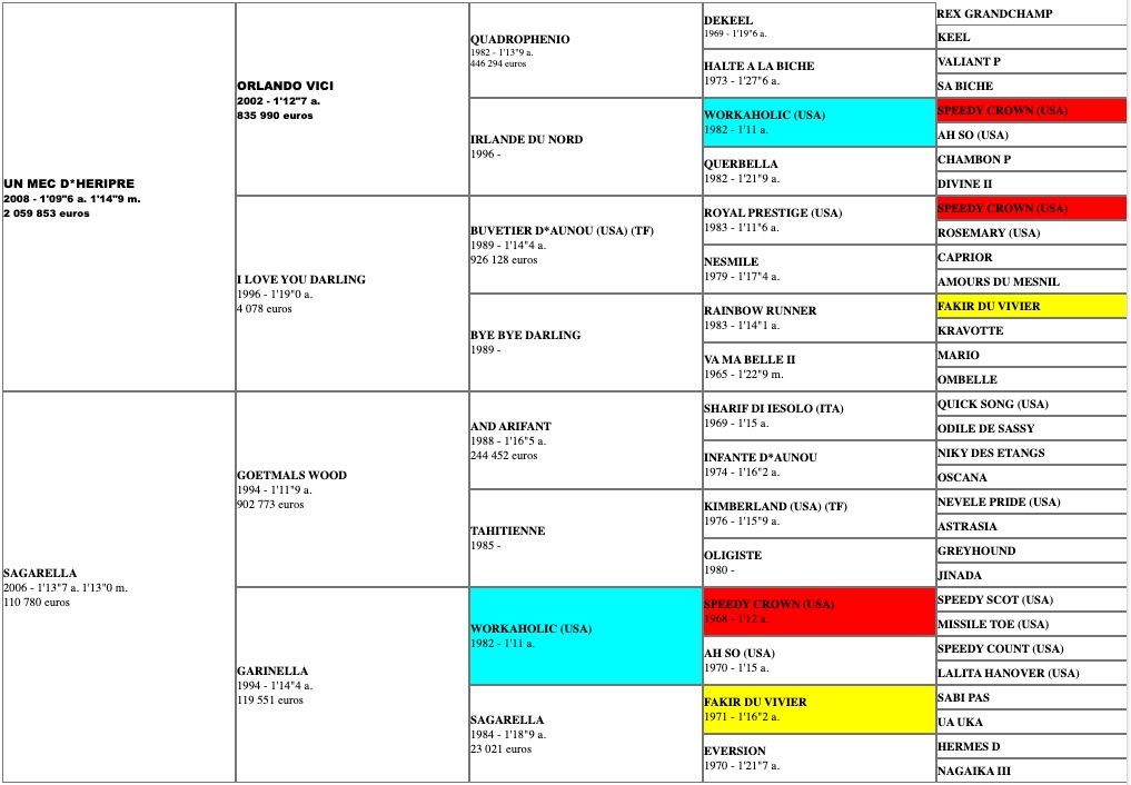 kalamity-d-heripre-2020-pedigree.jpg