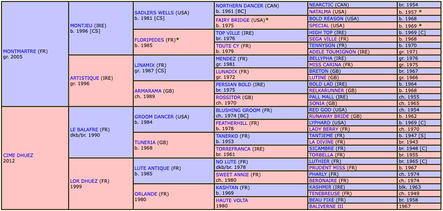 kamaro-d-huez-2020-pedigree.jpg