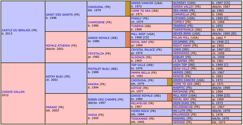 kassel-allen-2020-pedigree.jpg