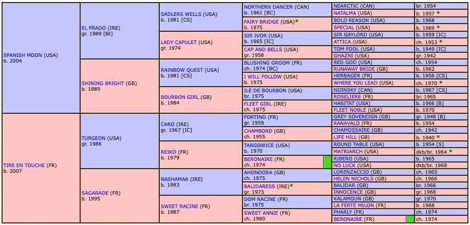 kibboutz-2020-pedigree.jpg