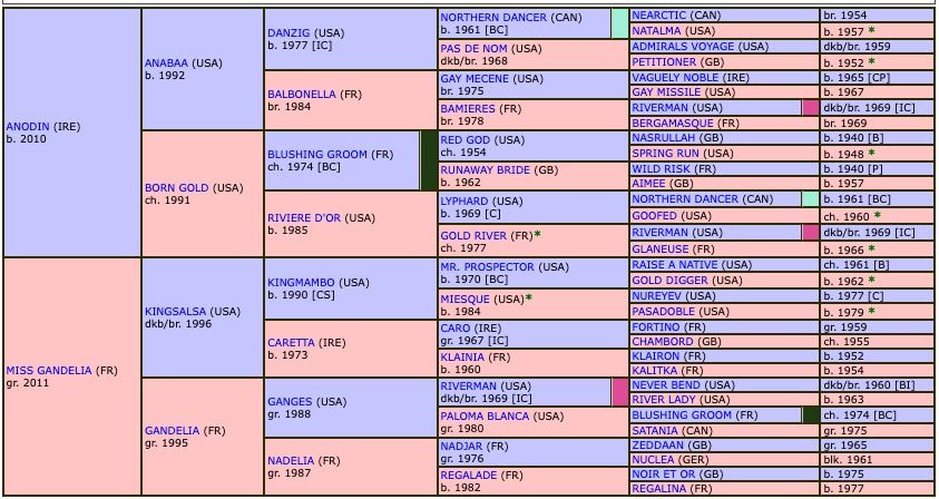 king-gold-2017-pedigree.jpg