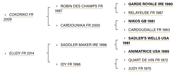 lakocokeldy-2021-pedigree.jpg