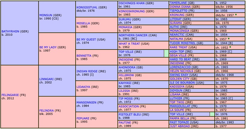 le-roi-david-2019-pedigree.jpg