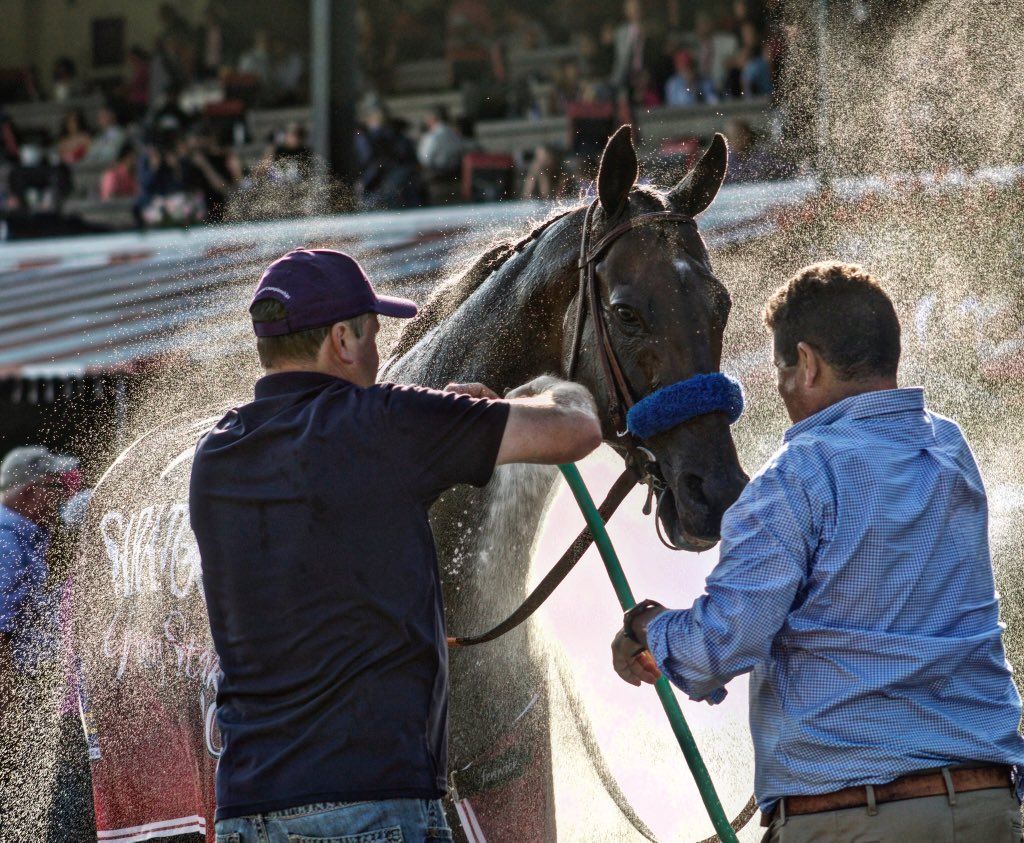 mckinzie-20190803-saratoga.jpg