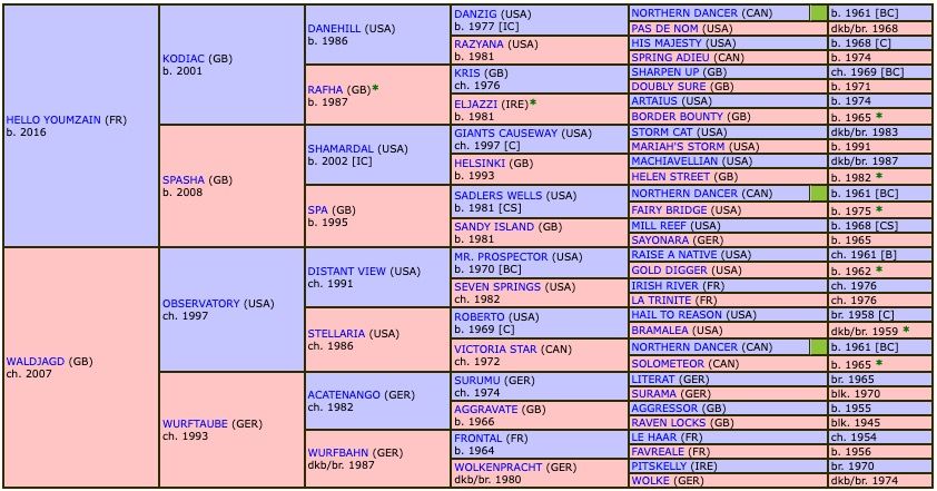 misunderstood-2022-pedigree.jpg