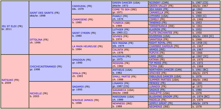 nara-2020-pedigree.jpg