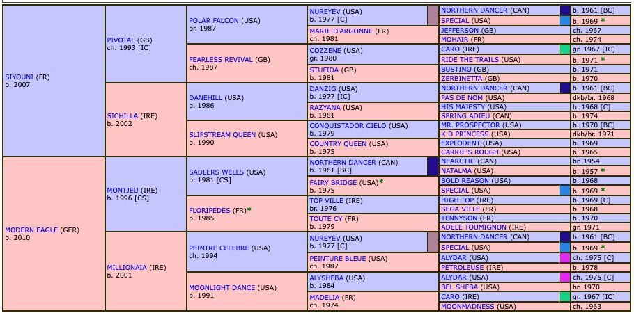 paddington-2020-pedigree.jpg