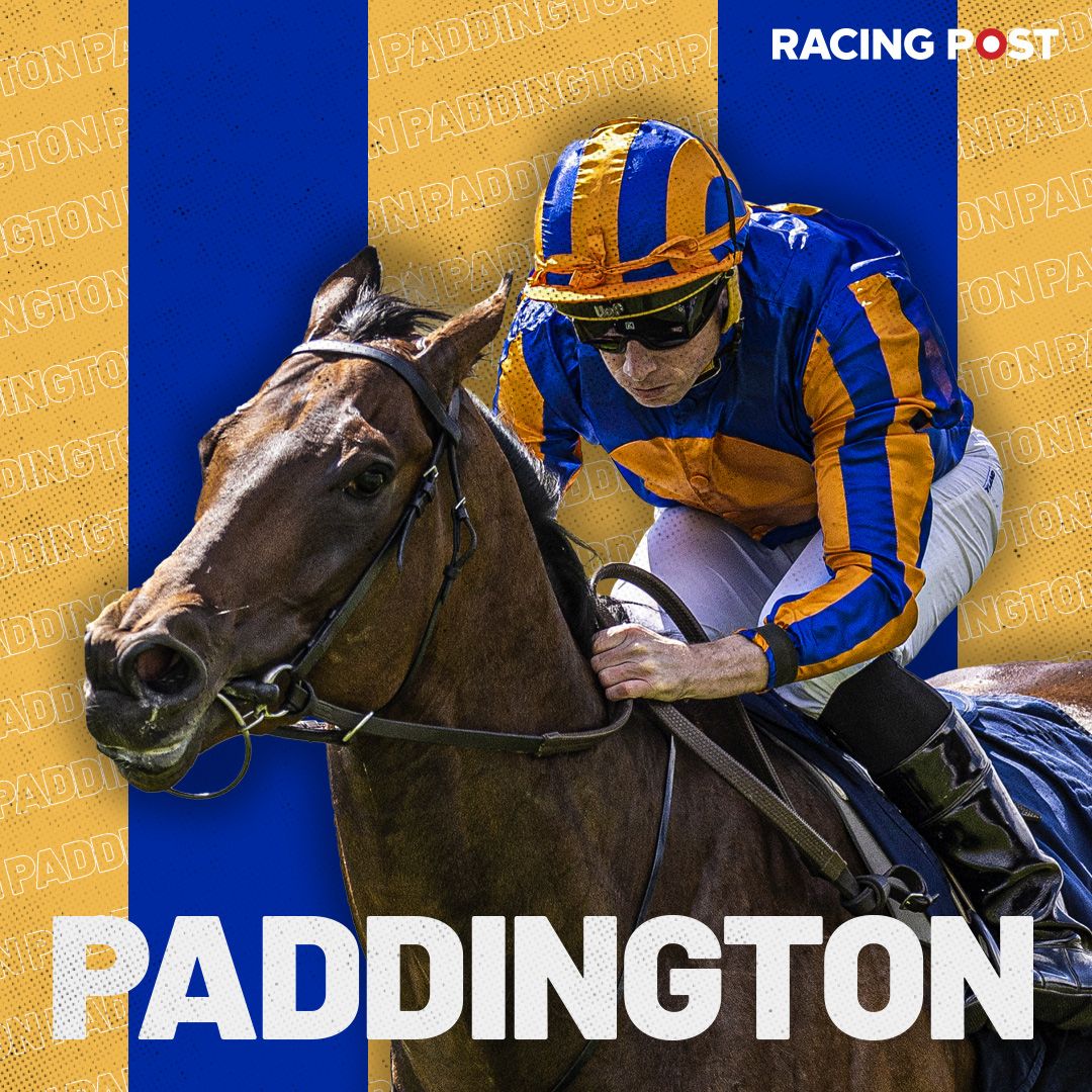 paddington-2023-01.jpeg
