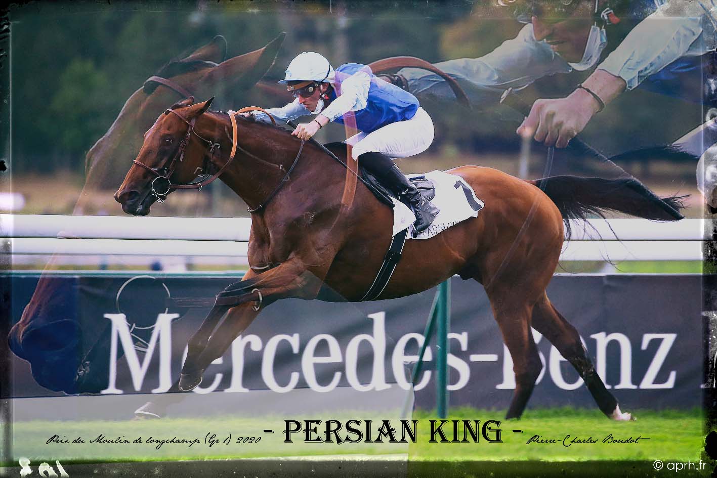 persian-king-20200906-01.jpg