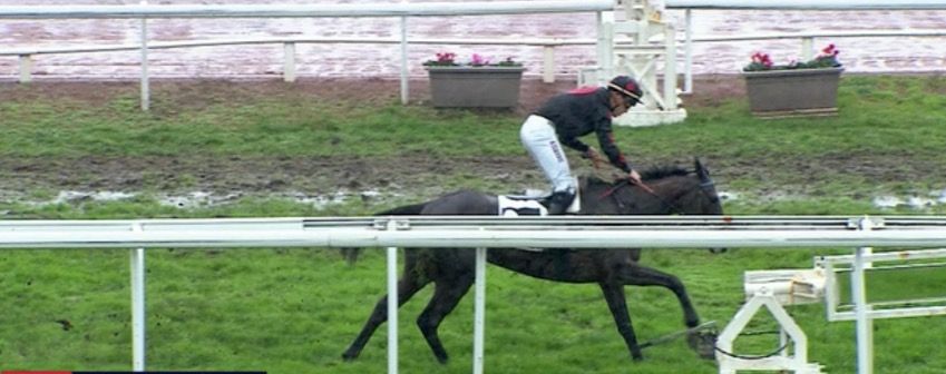 prix-andre-massena-2023-cagnes-fedor-rozay.jpg