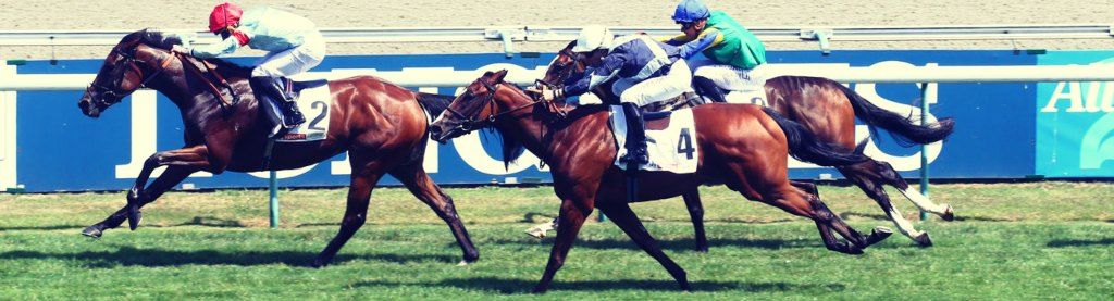 prix-six-perfections-2022-sydneyarms-chelsea-1024.jpeg