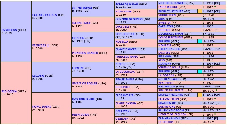 riocorvo-2016-pedigree.jpg