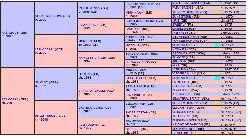 riocorvo-2016-pedigree.jpg