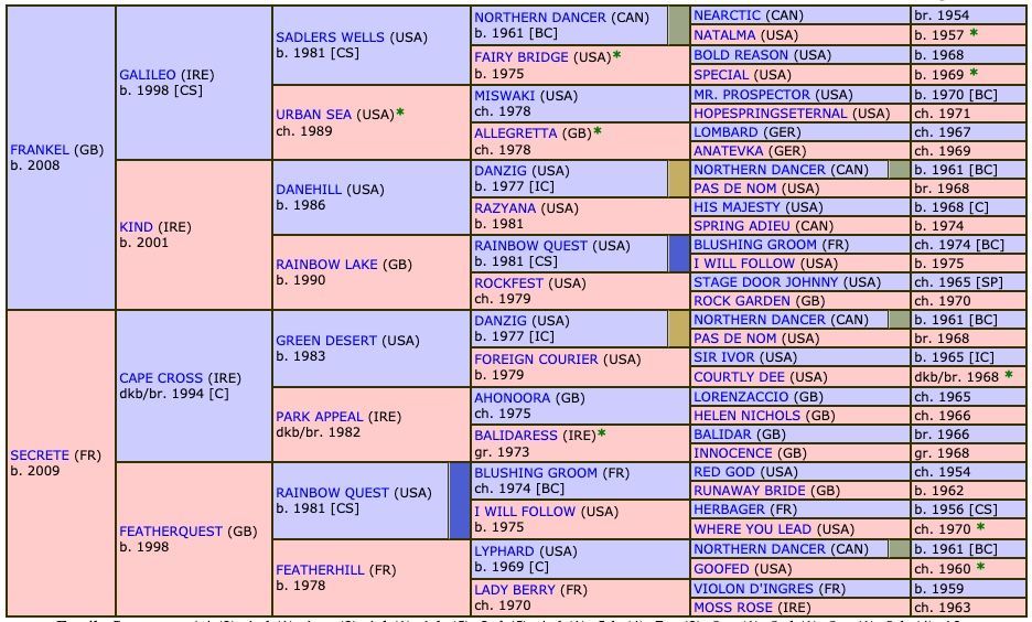 rumi-2018-pedigree.jpg