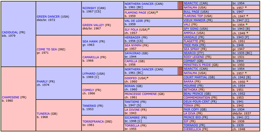 saint-des-saints-1998-pedigree.jpg